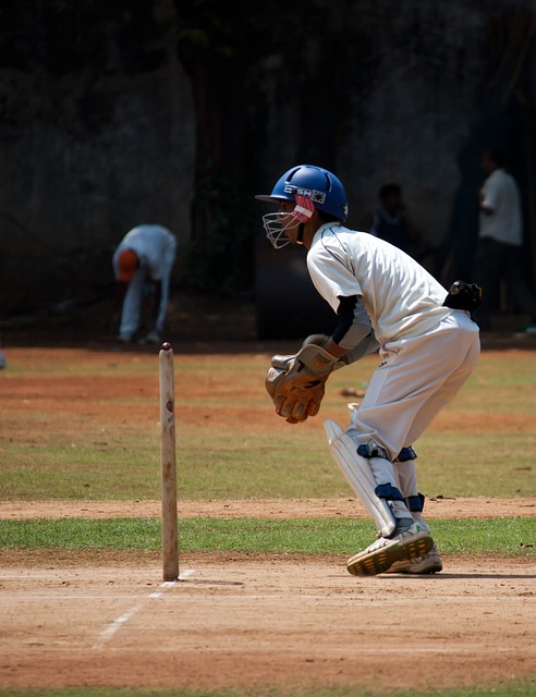 The Role of Cricket in Environmental Education: Awareness Campaigns