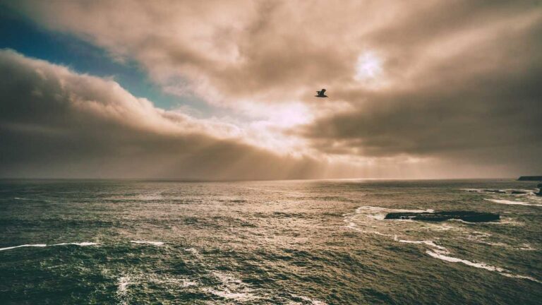 How Can I Join The Official 99Exch Telegram Group?